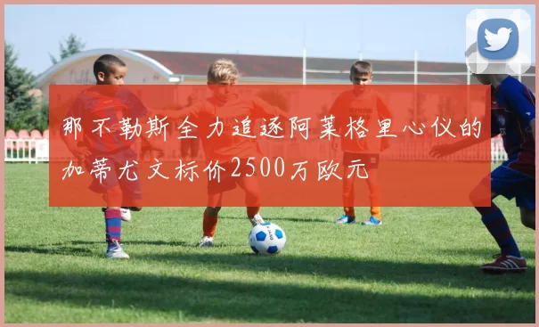 那不勒斯全力追逐阿莱格里心仪的加蒂尤文标价2500万欧元